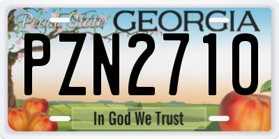 GA license plate PZN2710