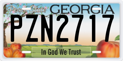 GA license plate PZN2717