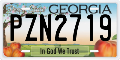 GA license plate PZN2719