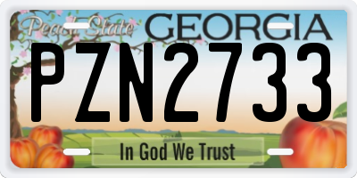 GA license plate PZN2733