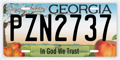 GA license plate PZN2737