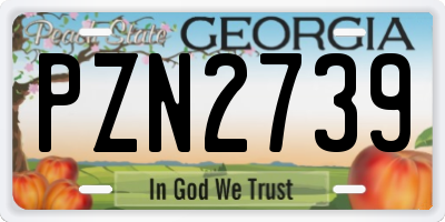 GA license plate PZN2739