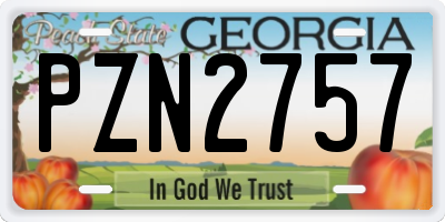 GA license plate PZN2757