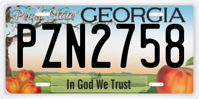 GA license plate PZN2758