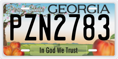 GA license plate PZN2783