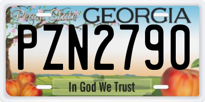 GA license plate PZN2790