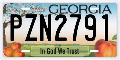 GA license plate PZN2791