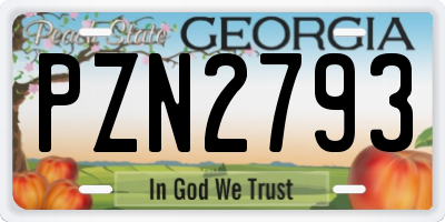 GA license plate PZN2793