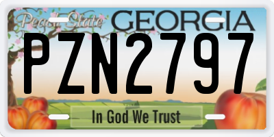 GA license plate PZN2797