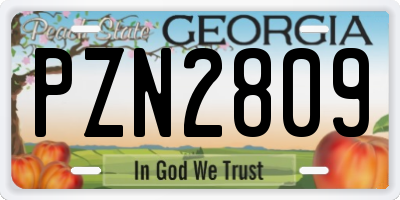 GA license plate PZN2809
