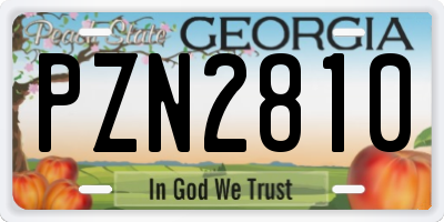 GA license plate PZN2810