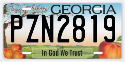 GA license plate PZN2819