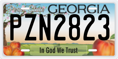 GA license plate PZN2823