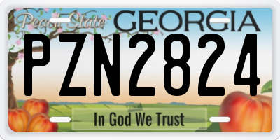 GA license plate PZN2824