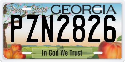 GA license plate PZN2826