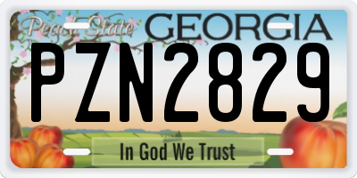 GA license plate PZN2829