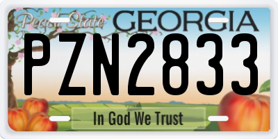 GA license plate PZN2833