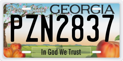 GA license plate PZN2837