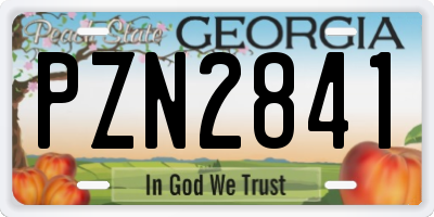 GA license plate PZN2841