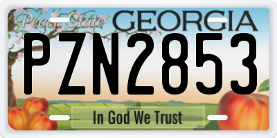 GA license plate PZN2853