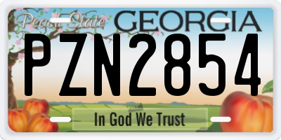 GA license plate PZN2854