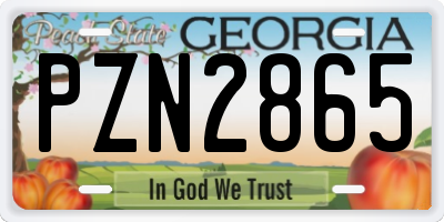GA license plate PZN2865