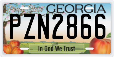 GA license plate PZN2866