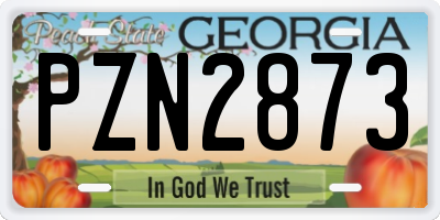 GA license plate PZN2873