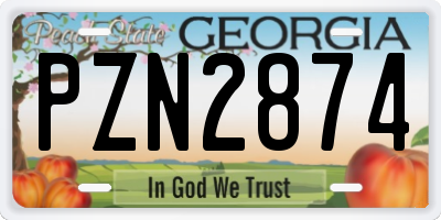 GA license plate PZN2874
