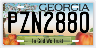 GA license plate PZN2880