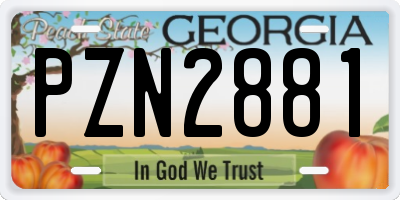 GA license plate PZN2881