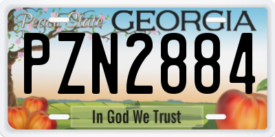 GA license plate PZN2884