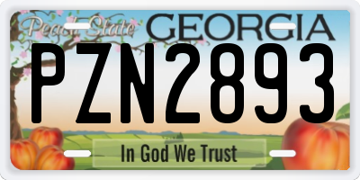 GA license plate PZN2893