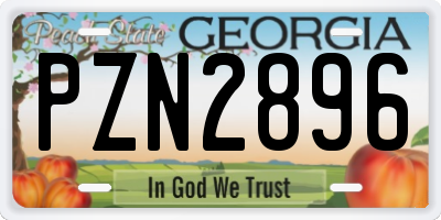 GA license plate PZN2896