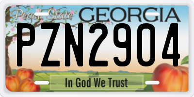 GA license plate PZN2904