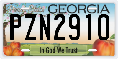 GA license plate PZN2910