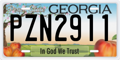 GA license plate PZN2911