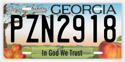 GA license plate PZN2918