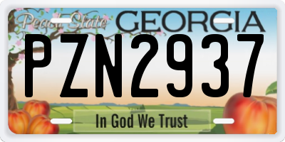GA license plate PZN2937