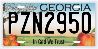 GA license plate PZN2950