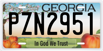GA license plate PZN2951
