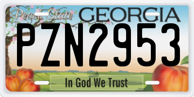 GA license plate PZN2953