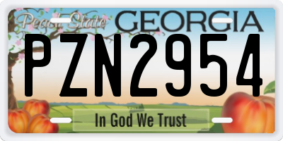 GA license plate PZN2954