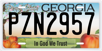 GA license plate PZN2957