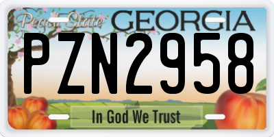 GA license plate PZN2958