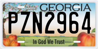 GA license plate PZN2964