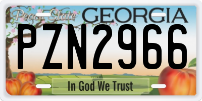 GA license plate PZN2966