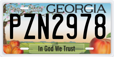GA license plate PZN2978