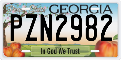 GA license plate PZN2982
