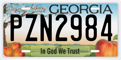 GA license plate PZN2984